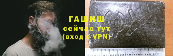 СК Дмитровск