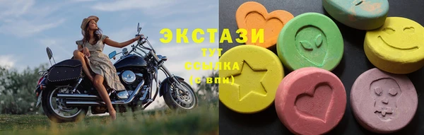СК Дмитровск