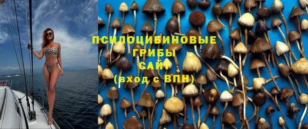 кокс Дмитров